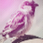 Profile Picture of Kate Lewis (@Δpple bed) on Flickr