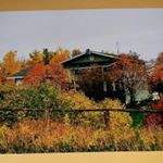 Profile Picture of Edith Joan Spence (@edith.spence) on Instagram