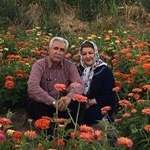 Profile Picture of Minaalizadeh (@minaalizadeh45) on Instagram