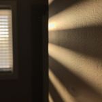 Profile Picture of Joel Snell (@joelsnelll) on Instagram