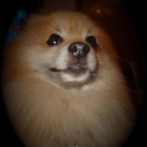 Profile Picture of Jack Schilling (@jackers143) on Myspace