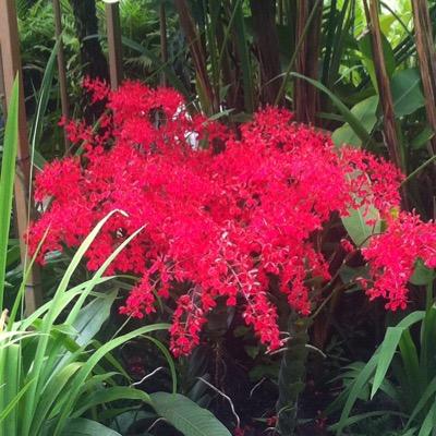 Iain Bowen - Twitter Profile Picture of Iain Bowen (@IainBowen) on Twitter