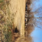 Profile Picture of Dewayne Pendleton (@sarah.pendleton.940098) on Facebook