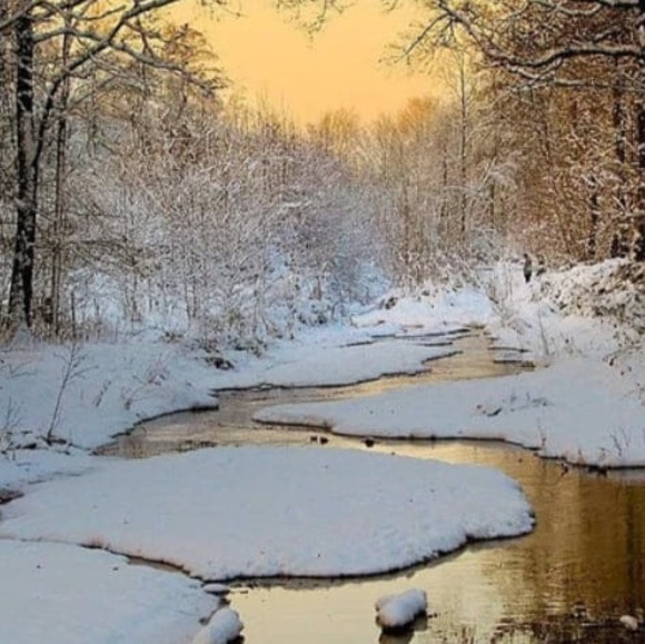 Profile Picture of Tammy Epperson (@tammyepperson) on Poshmark