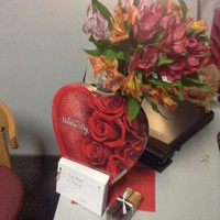 Profile Picture of Deborah Rasmussen (@deborah-rasmussen) on Quora