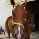 Profile Picture of Jade Nabors (@redneck101baby) on Myspace