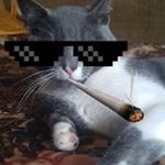 George Berrios - Instagram Profile Picture of George Berrios (@kimanchog) on Instagram