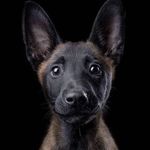 Profile Picture of Brad Burnett (@nitrofevr) on Instagram