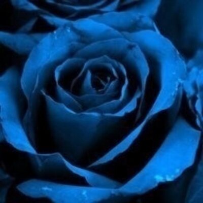 Profile Picture of حمووووووووي (@FaithSharp18) on Twitter