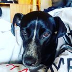 Profile Picture of Joël DUCHESNE (@joel_duchesne49) on Instagram