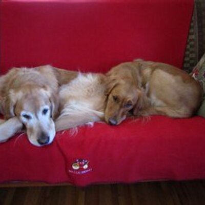 Profile Picture of Mark Weis (@mark_d_weis) on Twitter