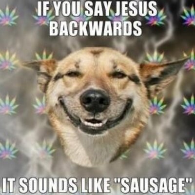 Profile Picture of Josh Nally (@crazyfrogwwe) on Twitter