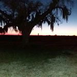 Profile Picture of David McSwain (@mcswain444) on Instagram