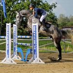 Profile Picture of Michael Couteau (@michael_couteau) on Instagram