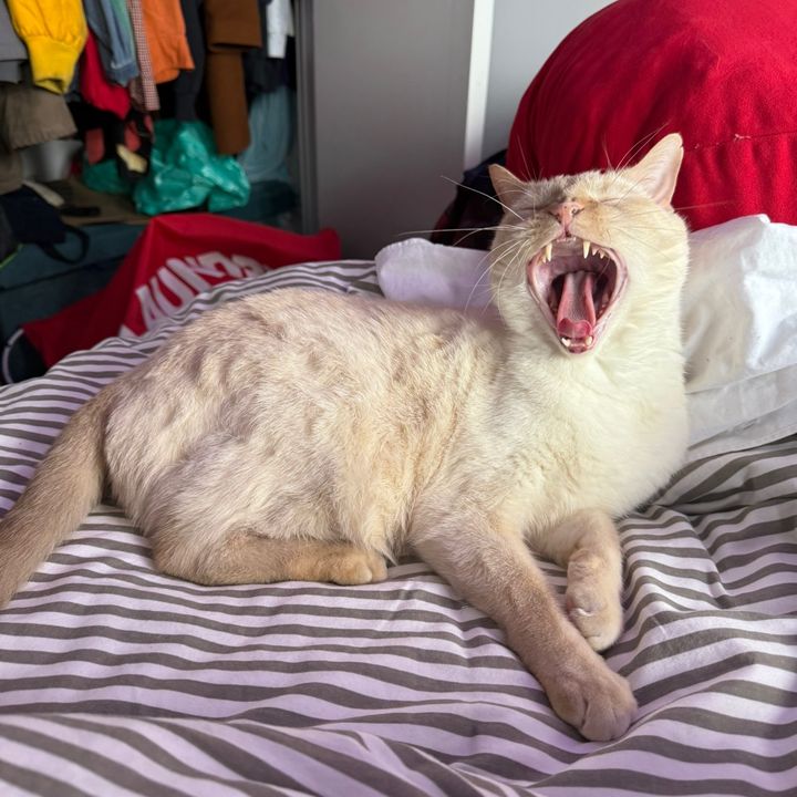 Profile Picture of Paul Moudoki (@saint_paulie) on Tiktok