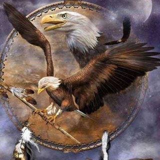 Profile Picture of Fred Honegger (@Fred-Honegger) on Facebook