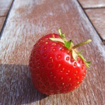 Profile Picture of Jennifer Lightfoot (@lavender_room) on Twitter