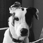 Profile Picture of Erik Fritz (@erikfritz) on Instagram