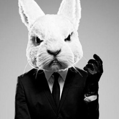 Profile Picture of James Bunny (@killerbunny007) on Twitter