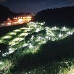 Profile Picture of Soyoung Yoon (@yoondaejang) on Instagram