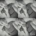 Profile Picture of Michelene Bothman (@michelene.bothman.1) on Facebook
