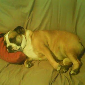 Profile Picture of stephenhirsch2 (@stephenhirsch2) on Tiktok