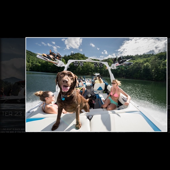 Rachael Gilhooly - Poshmark Profile Picture of Rachael Gilhooly (@h20rat) on Poshmark