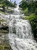 Profile Picture of Cheeyappara Waterfallson Wikipedia