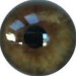 Profile Picture of Patrick Aires Vieira (@patrickairesxlizzo) on Instagram