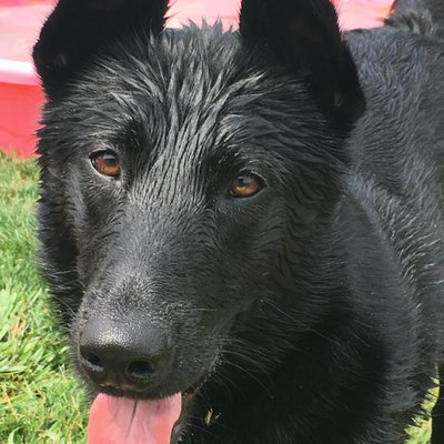 Profile Picture of Ernie Bowman (@bowman_ernie) on Twitter