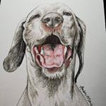 Profile Picture of David Phillips (@dave_phillips6) on Instagram