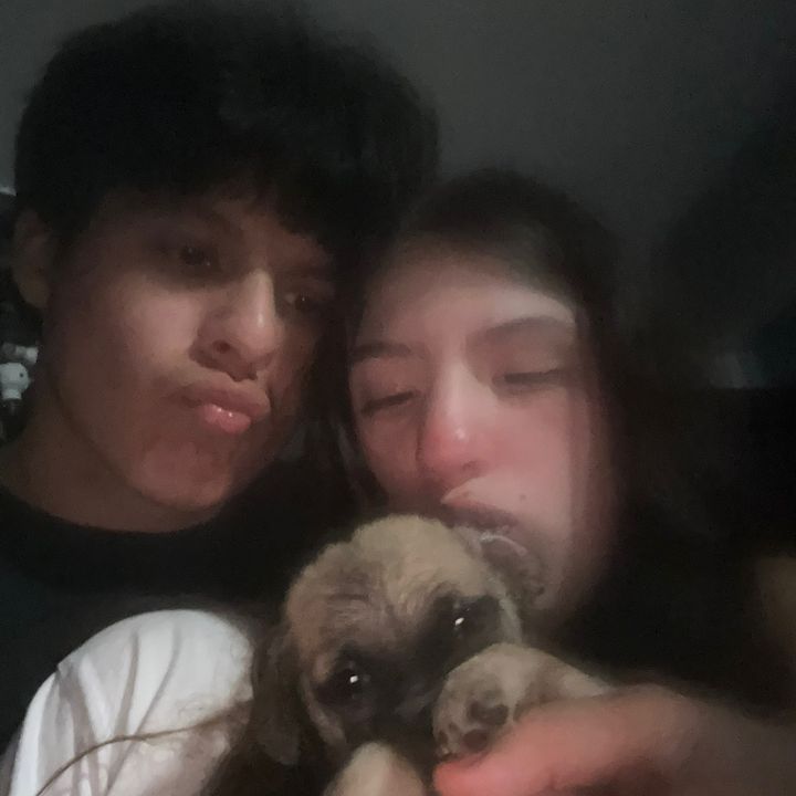 Profile Picture of matthew_2high (@matthew_2high) on Tiktok