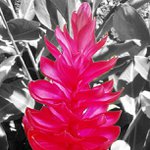 Profile Picture of Hassell Kevin (@lendelthi) on Instagram