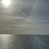 Profile Picture of laprinciawiggins (@laprinciawiggins) on Tiktok