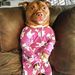 Profile Picture of Heather Clay (@clayheather) on Pinterest