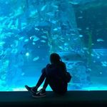 Profile Picture of Kinda Reggi Kristiayu (@kindareggi) on Instagram