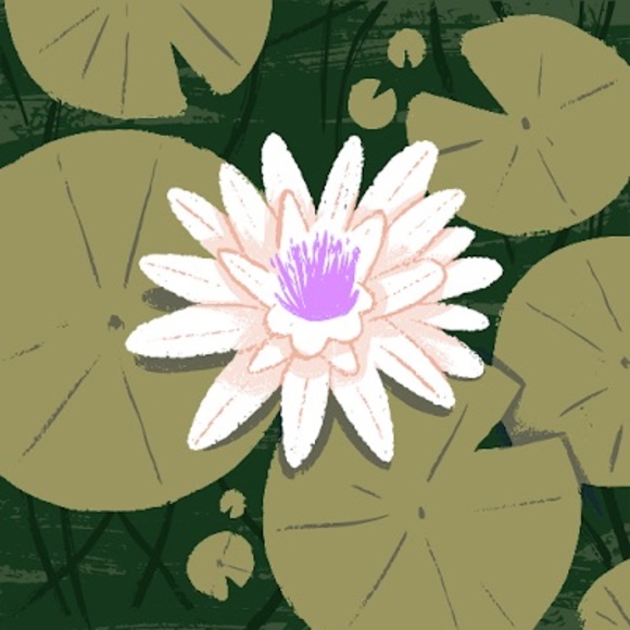 Profile Picture of Madysen Strohbehn (@madysen0623) on Poshmark