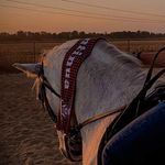 Profile Picture of Bianca Solomon (@biancasolomon2012) on Instagram