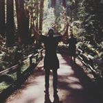 Profile Picture of Steven Lynch (@stevenlynch20) on Instagram