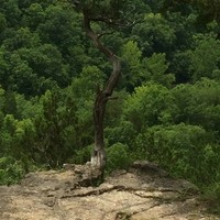 Profile Picture of Trent Boldra (@trent-boldra) on Quora