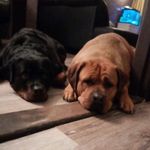 Profile Picture of Megan (@meganmellowdjaika2013.27) on Instagram