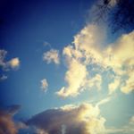 Profile Picture of Cameron Helms (@helmscameron) on Instagram