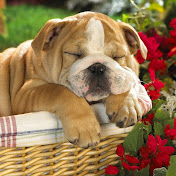 Profile Picture of Luke Hammond (@lukehammond966) on Youtube