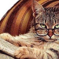 Profile Picture of Борис (@@borisbelinsky) on Tiktok