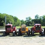Profile Picture of Wildman’s Pulling Page (@wildmanspullingteam) on Instagram