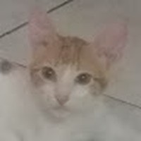 Profile Picture of Gary Ortiz (@gary-ortiz-31) on Quora