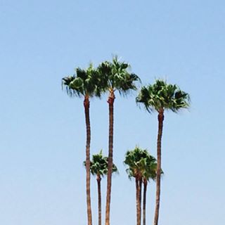 Profile Picture of Adam Cresswell (@Adam-Cresswell) on Facebook