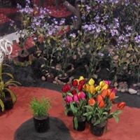 Profile Picture of Iram Nadeem (@iram-nadeem) on Quora