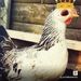 Profile Picture of Nathan Flack (@flack0838) on Pinterest