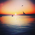 Profile Picture of #Tony❤💙# (@tonycaniglia85) on Instagram